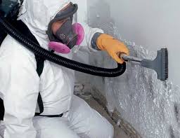 Best HVAC Mold Inspection and Cleaning  in Bellevue, OH